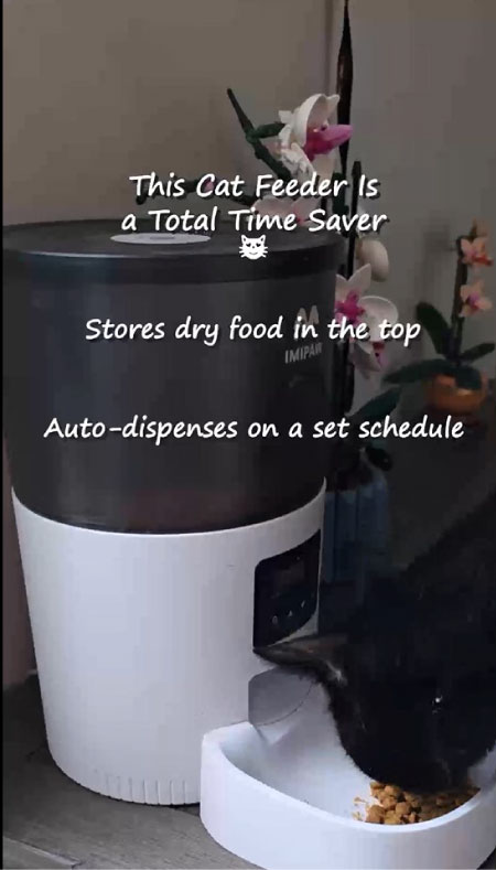 Auto-Cat-Food-Feeder