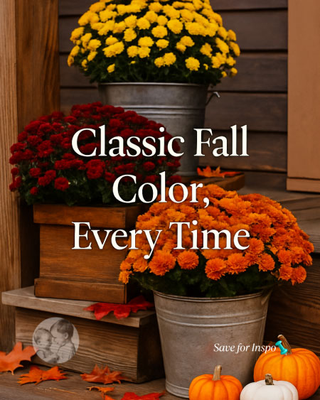 Two large planters filled with vibrant orange and yellow mums on each side of a front door, pumpkins scattered around, maple leaf garland framing doorway—realistic warm lighting